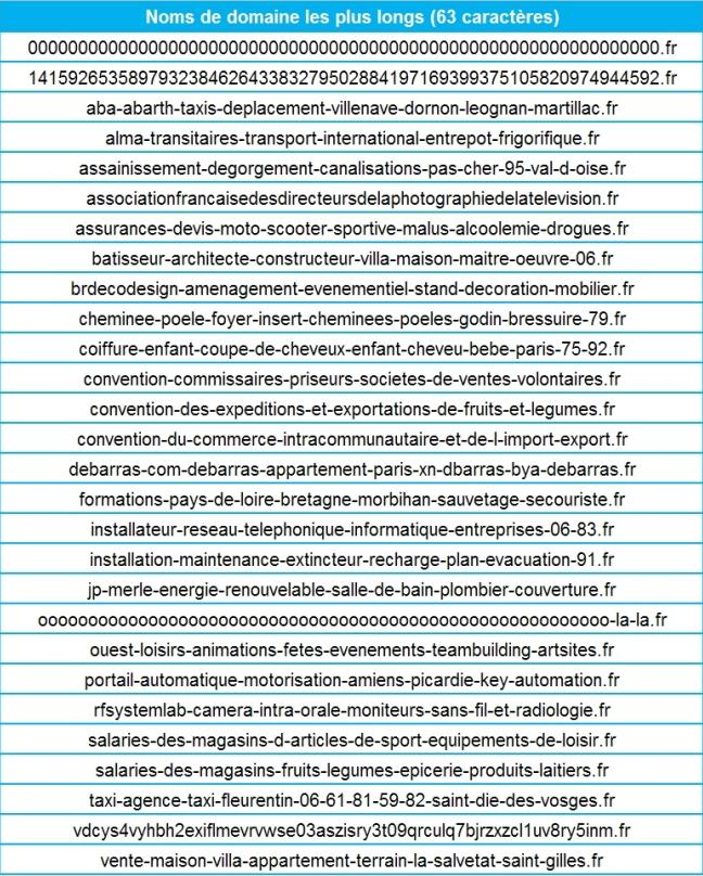 Nom de domaines les plus longs en 2012 Noms de domaines de l'extrême selon l'Afnic