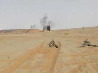 Intervention militaire française au Mali
