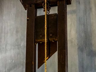 guillotine g99ac3c036 1920