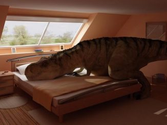 Un dinosaure se reposant dans un chambre