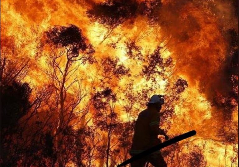 Incendies en Australie: le Chili et l'Argentine envahis par des fumées