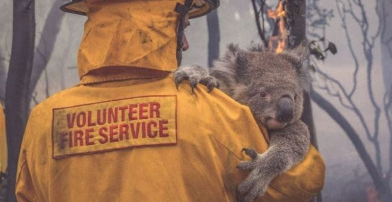 Méga-feu en Australie