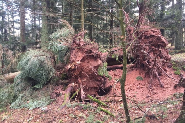 Tempête Ciara France