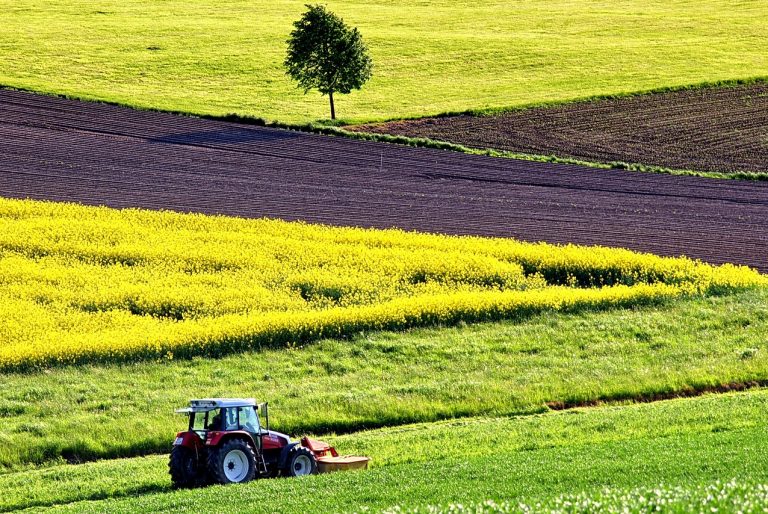 particularité agricole