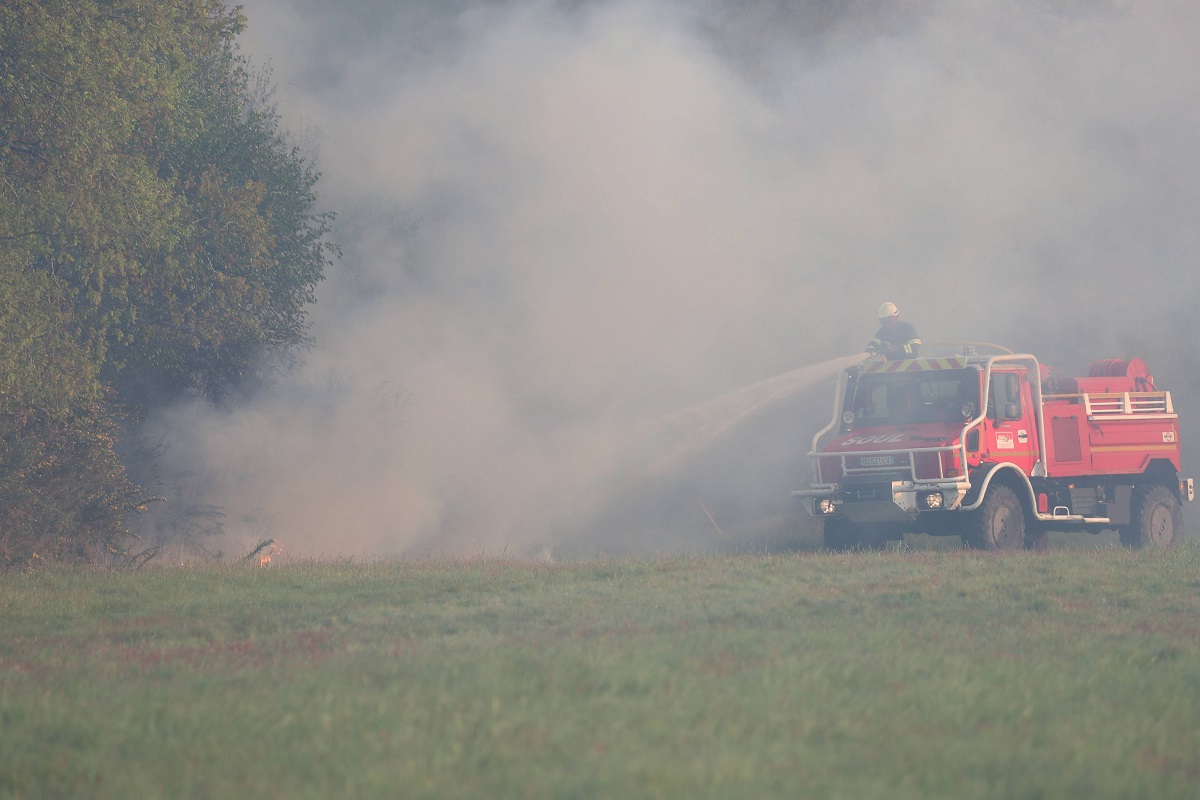 Incendie détruit 50 hectares de forêt au Tuzan