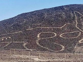 Un géoglyphe de chat découvert au Pérou dans le désert de Nazca