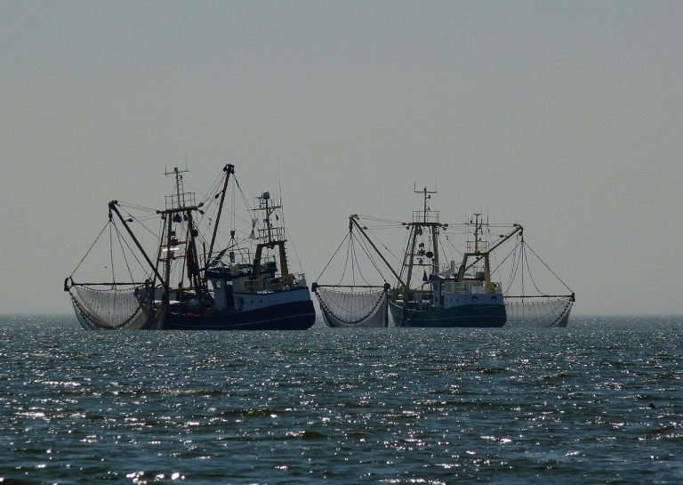 Accords post-Brexit: la France menace le Royaume-Uni pour la pêche