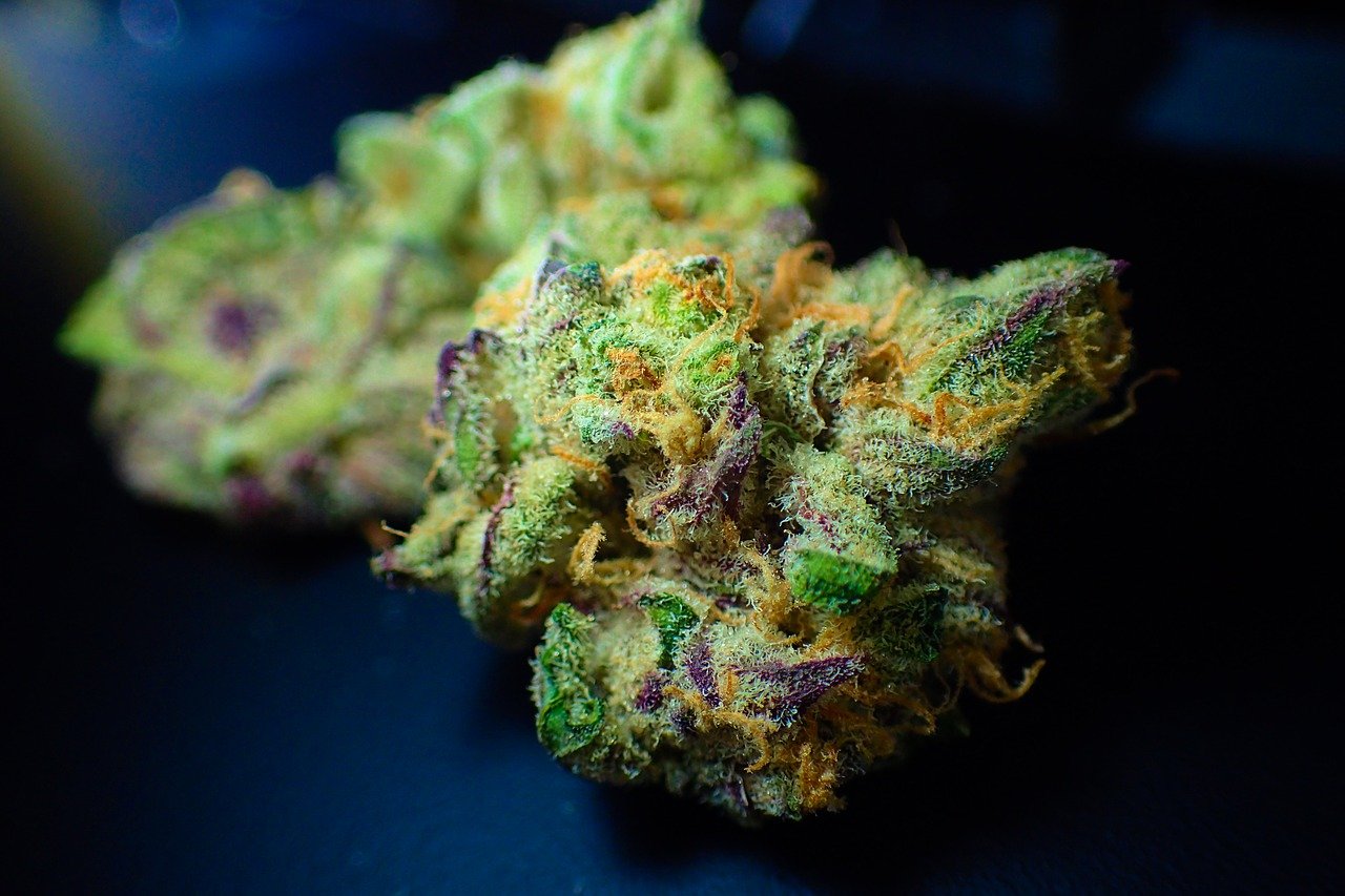 Cannabis: légalisation « contrôlée »