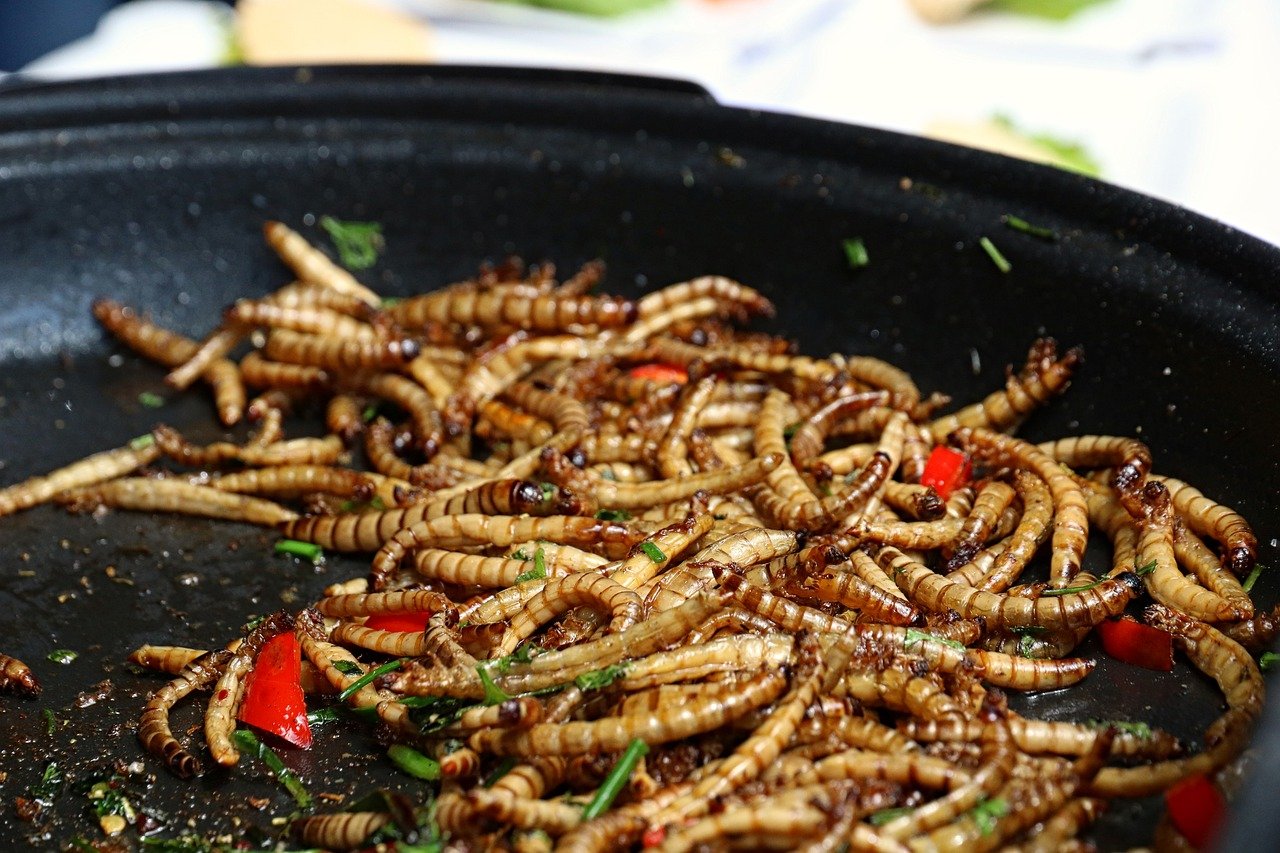 Les insectes en tant qu'aliments, feu vert de l'UE pur les mites de farine : comment seront-elles vendues ?