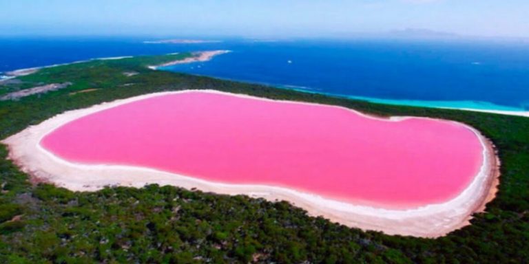 L'eau rose mystérieuse du lac Hillier en Australie