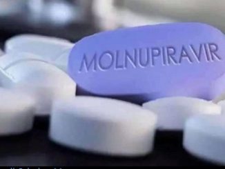 Pilule anti-Covid Molnupiravir, dont l'utilisation est approuvée par la FDA américaine