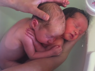 Jumeaux nouveau-nés qui se blottissent l'un contre l'autre