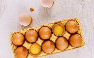 L'UE enquête sur un foyer de salmonellose dans des œufs d'origine espagnole