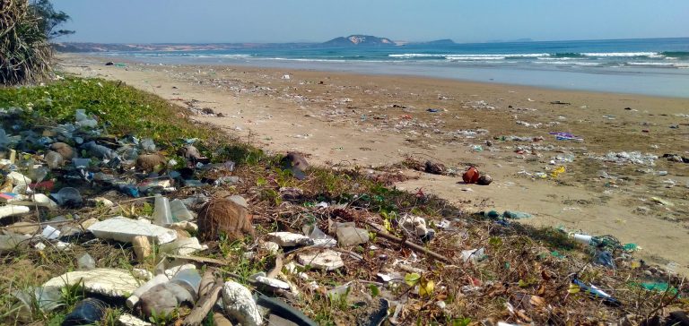 La planète est saturée de pollution plastique et chimique