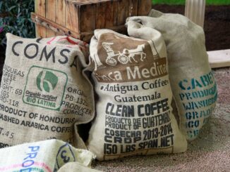 Dynamiques et stratégies économiques dans le secteur du café