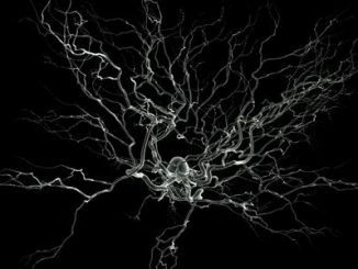 Cellule neuronale